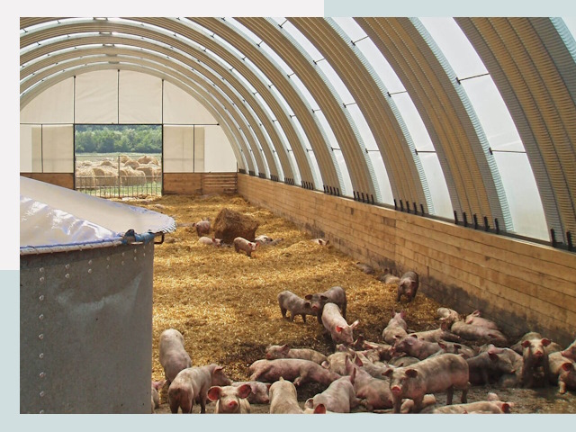 Строительство свинарников в Севастополе